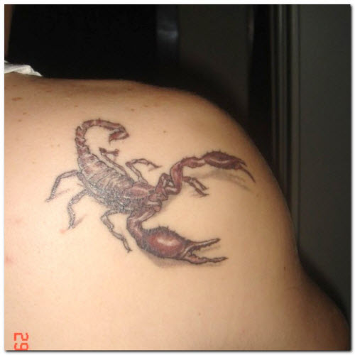 Фото тату скорпиона у женщин - 2
