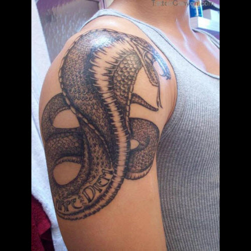 Фото тату змея на плече - 1