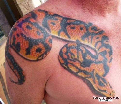 Фото тату змея на плече - 6