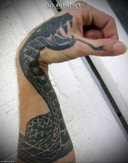Тату со змеей фото на руке - 0